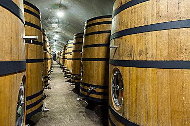 《X4：基石》公布新DLC“贪婪之潮” 2022年Q1上线